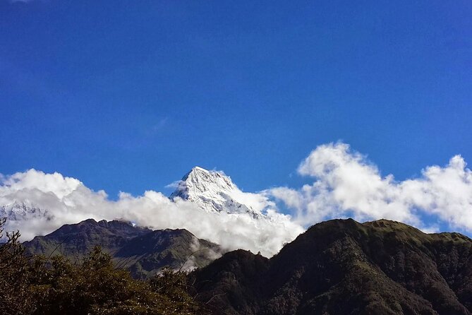 Pokhara: Poon Hill Ghorepani Short Trek - Trek Package Inclusions