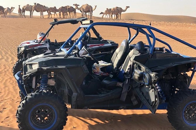 Polaris RZR 1000cc 2seater Desert Adventure Guided Tour - Customer Feedback