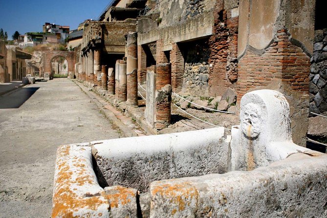 Pompeii: 2-Hour Walking Tour With Professional Guide - Meeting Point