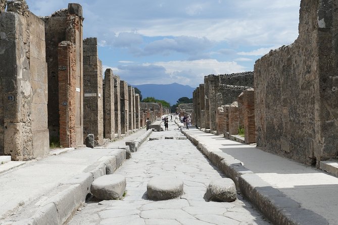 Pompeii All Inclusive Shared Tour From Naples - Tour Inclusions