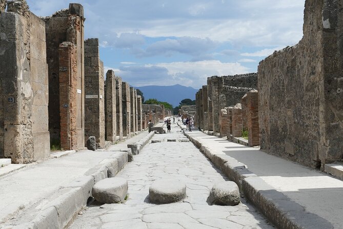 Pompeii and Herculaneum With Wine Tour - Wine Tasting Experience