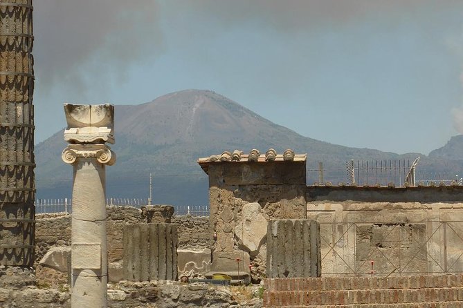 Pompeii and Mount Vesuvius Small-Group Tour by High-Speed Train - Traveler Reviews