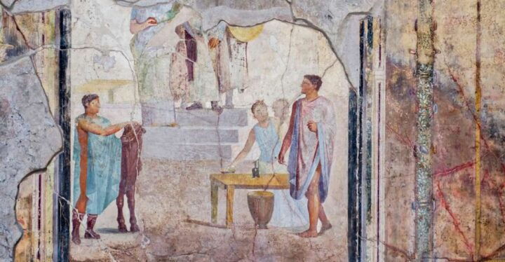 Pompeii and Vesuvius 8-Hour Tour From Sorrento - Booking Details