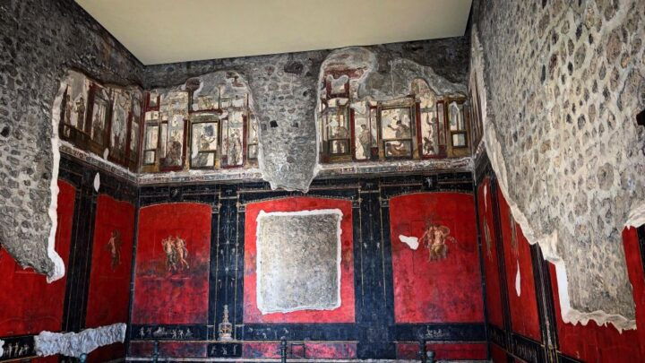 Pompeii: Private Customizable Tour - Booking Information