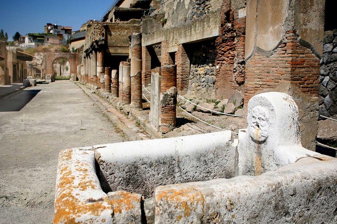 Pompeii Ruins: Day Trip From Naples With Skip the Line Ticket - Booking Information