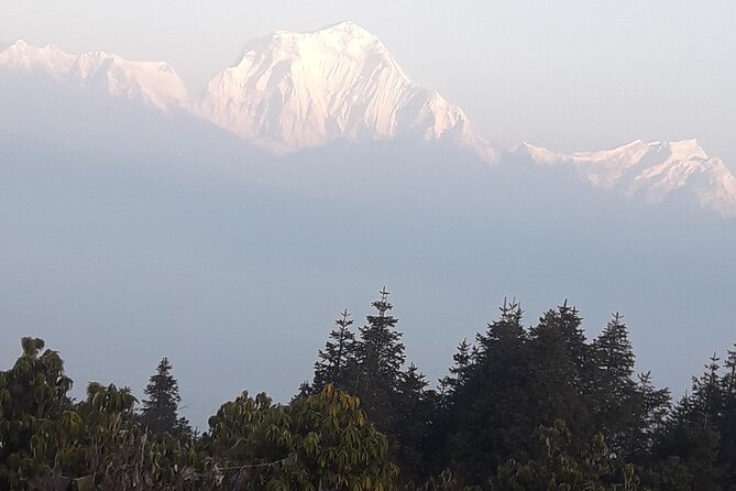 Poon Hill Trek 3 Days - Itinerary Overview