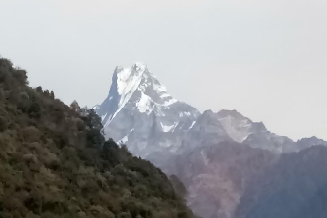 Poon Hill Trek - Tips for a Successful Trek