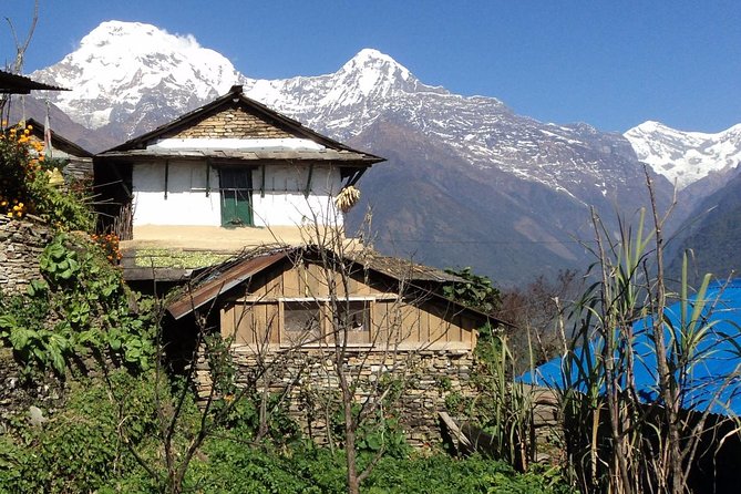 Poonhill Trekking - Ulleri to Ghorepani Trek