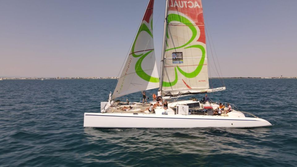 Port Camargue: Half-Day Sailing Tour on a Racing Catamaran - Provider Information