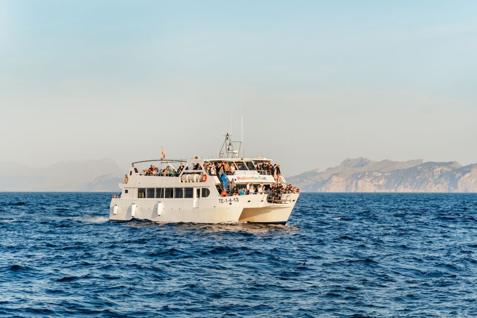 Port D'alcudia: Sunrise at Sea & Dolphin Watching Boat Tour - Experience Highlights