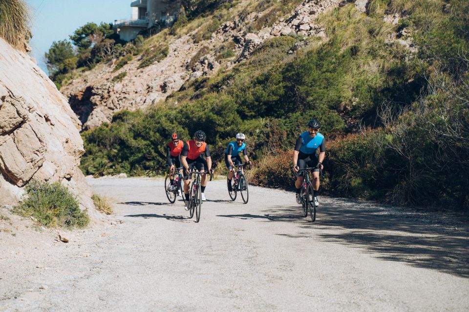 Port De Pollença: Ultimate Bike Rental - Bike Fleet and Quality