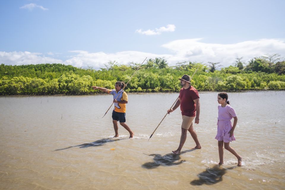 Port Douglas: Daintree Cultural Tour With Hotel Pickup - Activity Description