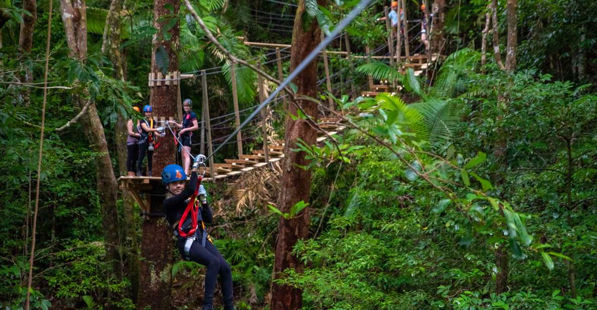 Port Douglas: Daintree National Park Ziplining & Cruise - Experience Highlights