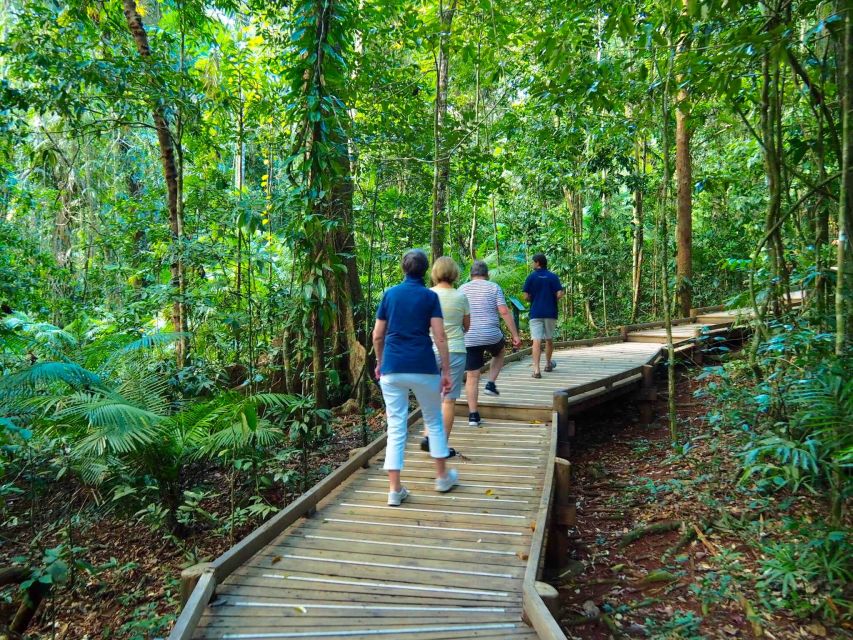 Port Douglas: Daintree Rainforest Canopy Ziplining Tour - Includes