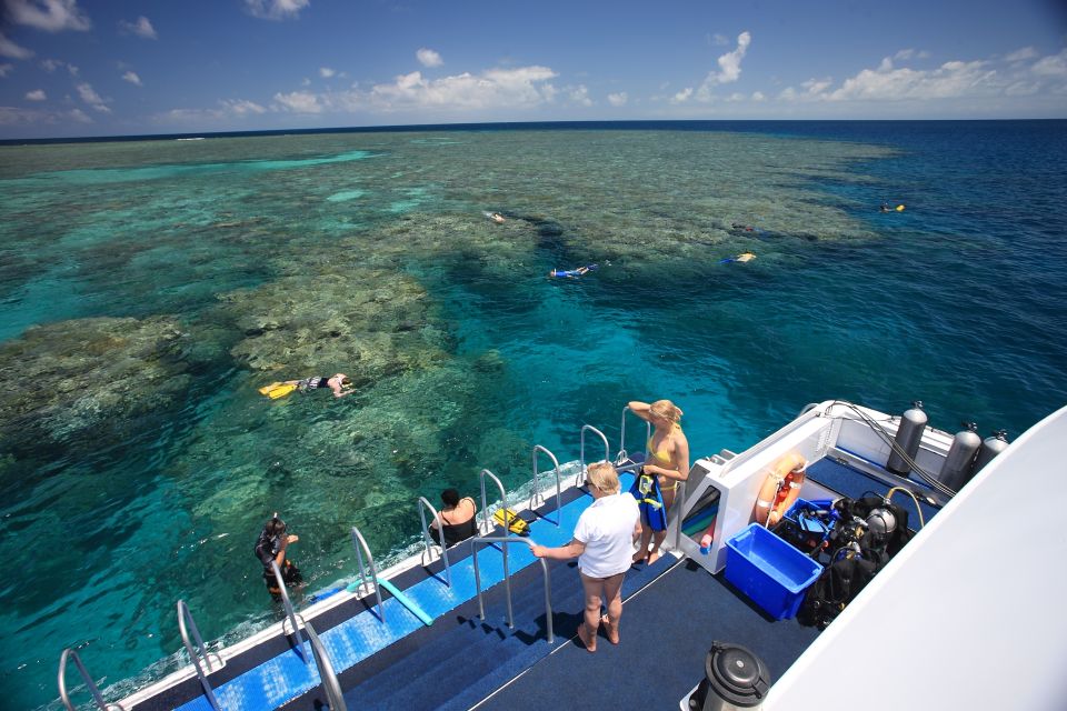 Port Douglas: Outer Barrier Reef Snorkel Cruise & Transfer - Experience Highlights