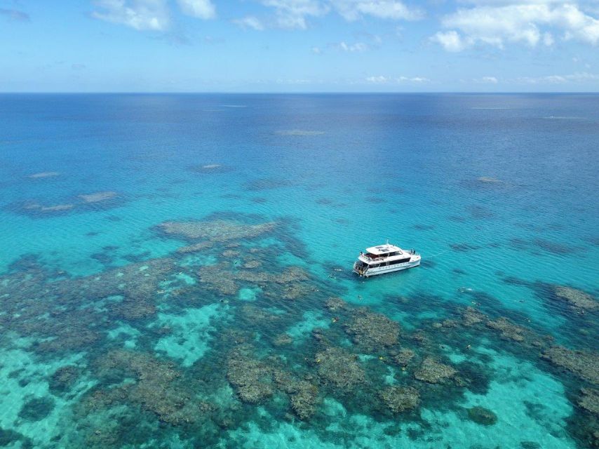 Port Douglas: Outer Great Barrier Reef Snorkeling Cruise - Experience Highlights