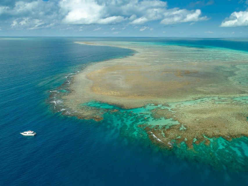 Port Douglas: Outer Reef Full-Day Snorkeling Tour - Experience Highlights