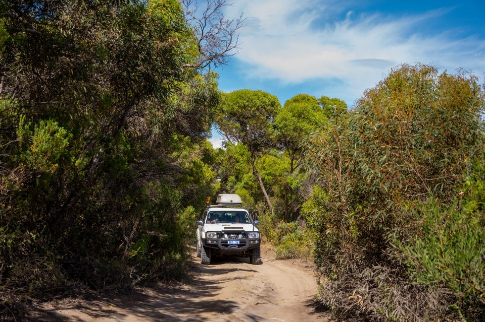 Port Lincoln: Wildlife and Sightseeing Full-Day 4WD Tour - Languages and Group Size