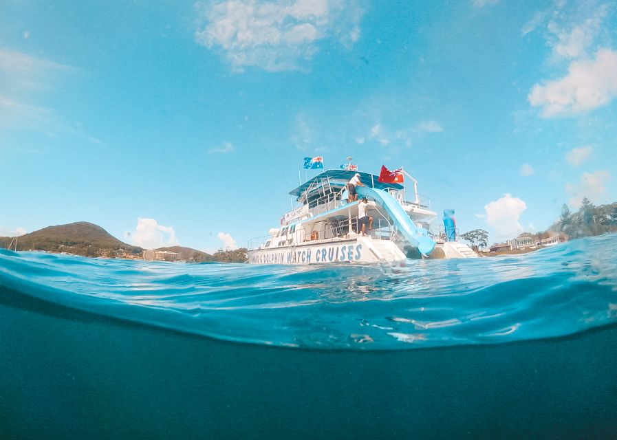 Port Stephens: Dolphin Watch Cruise With Swimming & Slides - Catamaran Features and Activities