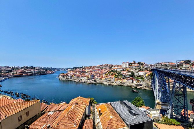 Porto Private Luxury City Tour From Lisbon - Reviews and Testimonials