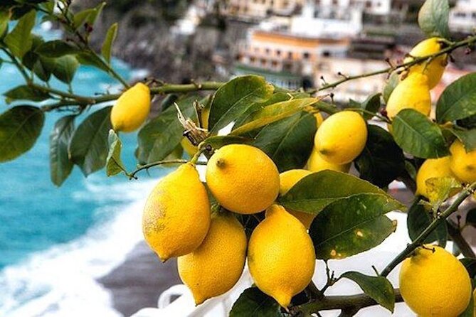 Positano and Amalfi Coast Private Tour With Driver From Rome - Itinerary Highlights