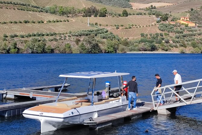 Premium Wine Experience Through Douro Valley - Vineyard Tours and Tastings