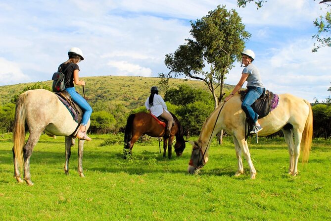 Pretoria Private Half-Day Horseback Riding Safari - Directions