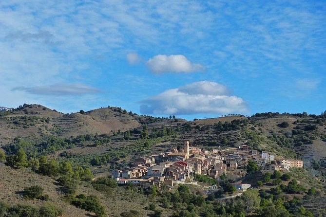 Priorat, Wines & History - Small Group and Hotel Pick up From Barcelona - Wine Tasting Experience