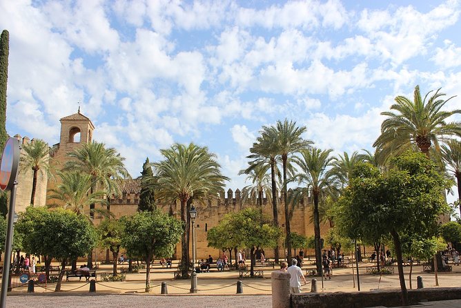 Private 10-Hour Shore Excursion From Motril Cruise Port to Cordoba - Visit to the Mezquita-Catedral