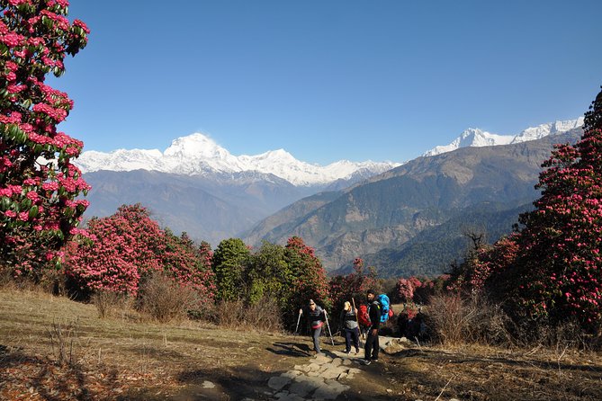 Private 14-Day Trekking and Sightseeing: Annapurnas & More  - Kathmandu - Itinerary Overview