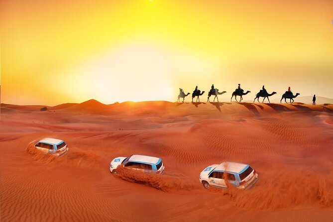 Private 8-Day Dubai Tour With Abu Dhabi and Desert Safari - Accommodation and Dining