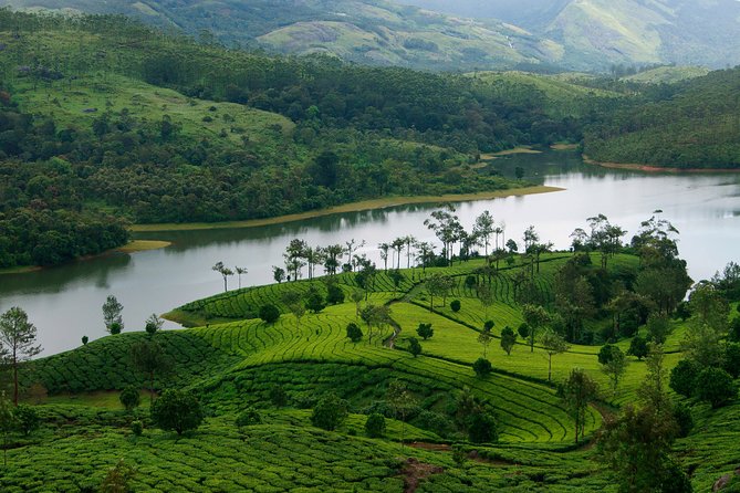 Private 8-Day Tour: Kerala's Hills, Backwaters, and Beaches  - Kochi - Itinerary Overview