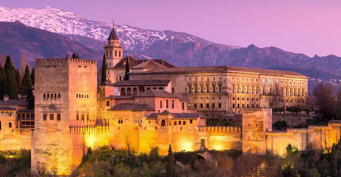 Private Alhambra Tour From Malaga & Surrounds - Tour Experience