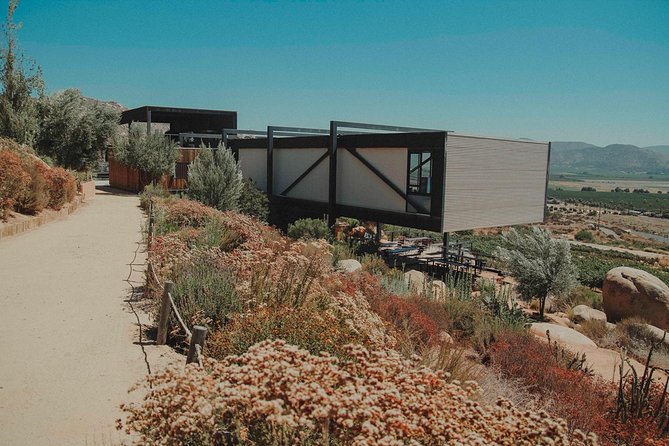 Private and Custom Group Wine Tour Valle De Guadalupe - Customer Experience