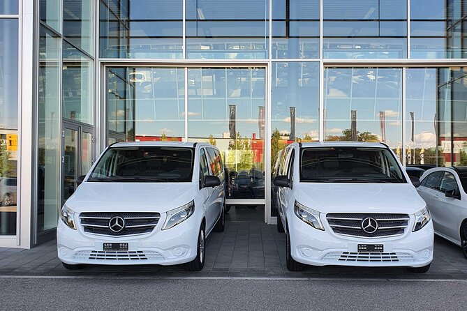 Private Arrival Transfer: From Geneva Airport to Val-Dilliez - Vehicle Comfort and Accessibility