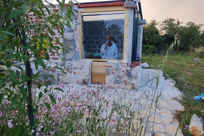 Private Bee Safari in Zadar - Bee Importance Learning Experience