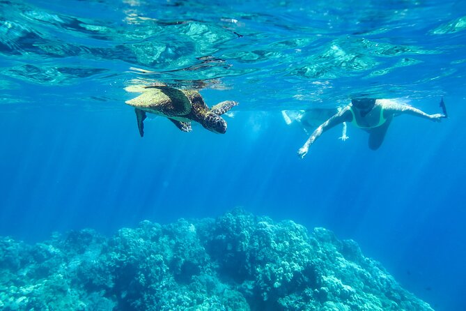 Private Big Island Snorkel Tour - Booking Information