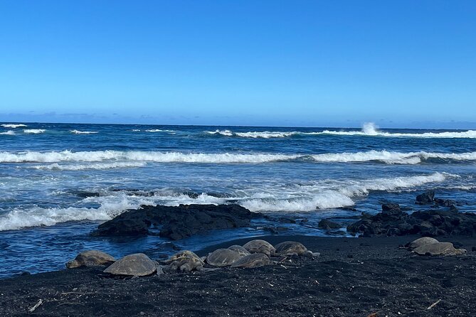 Private Big Island Tour: Coffee, Beaches, Volcanos, Waterfalls - Host Response and Interaction