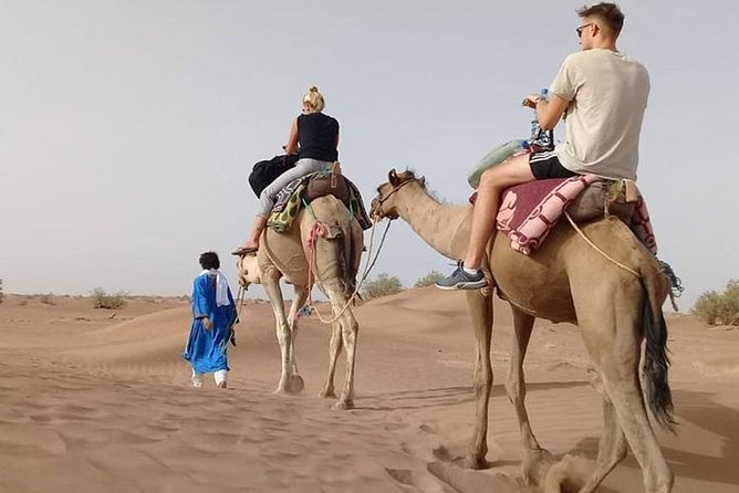 Private - Camel Ride Tour With Dune Bashing, BBQ Dinner and Belly Dance - Pricing and Booking Information