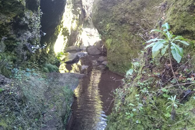 Private Canyoning Tour: Madeira - Tour Specifics