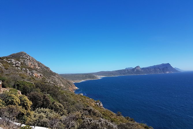 Private Cape Peninsula Tour - Cape Point, Cape of Good Hope Sightseeing - Customizable Itinerary