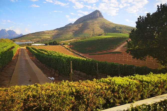 Private Cape Winelands Ful Day Ultra Flexible Guided Tour. - Itinerary Overview