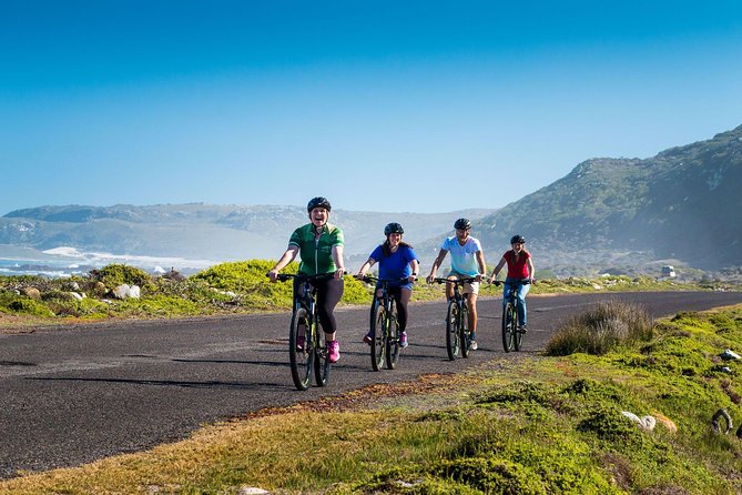Private Cycling Tour of the Cape Peninsula From Cape Town - Destinations