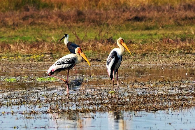 Private Day Hike and Birding Tour, Shivapuri National Park  - Kathmandu - Cancellation Policy and Refunds