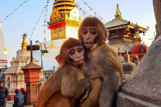 Private Day Tour to Kathmandu Durbar Square & Swayambhu Stupa #visitnepal2020 - Sightseeing Highlights
