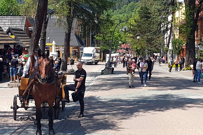 Private Day Tour to Zakopane and Tatra Mountains From Krakow - Traveler Experience