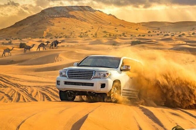 Private Desert Safari Dubai Tour With Camel Ride - Camel Ride Experience