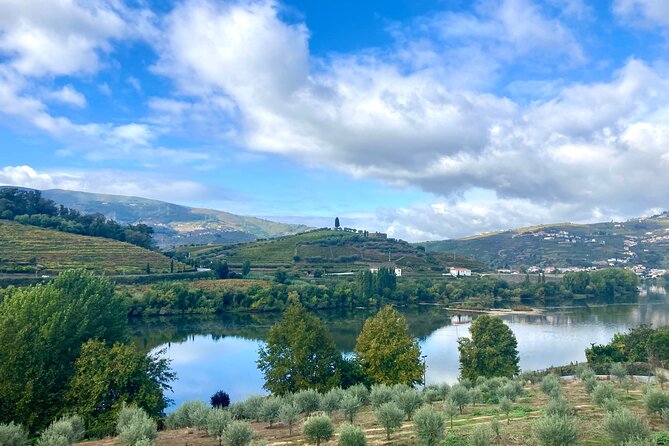 Private Douro Valley All Inclusive: Tastings, Lunch & Boat - Indulge in a Delicious Lunch