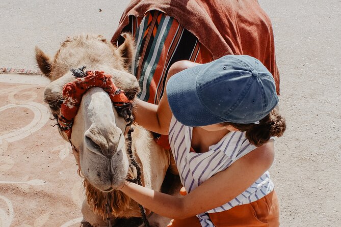 Private Dubai Red Dune Desert Safari - Logistics and Pickup Details