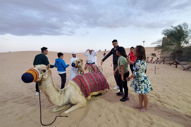 Private: Dubais Highlights & Desert Safari With BBQ Dinner - Unforgettable Desert Safari Adventures